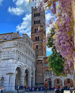 Lucca Cathedral bell tower with wisteria blooms and crowd of visitors, Tuscany, Italy