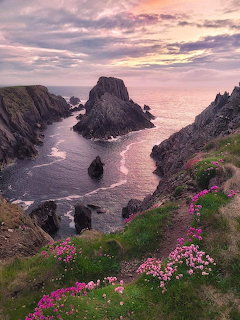Rocky sea cliffs with pink wildflowers along a path overlooking ocean waves and a sunset sky