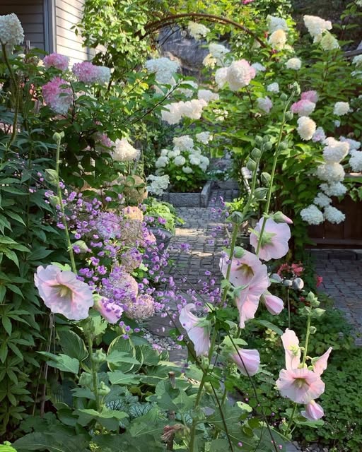 Colorful garden flowers in bloom with green foliage