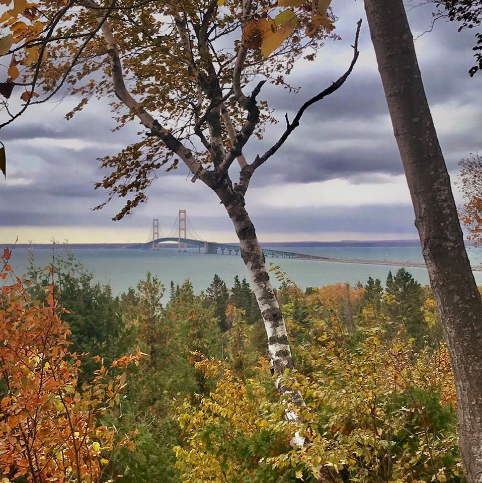 Mackinac Bridge viewed through autumn trees with colorful foliage and cloudy sky over water