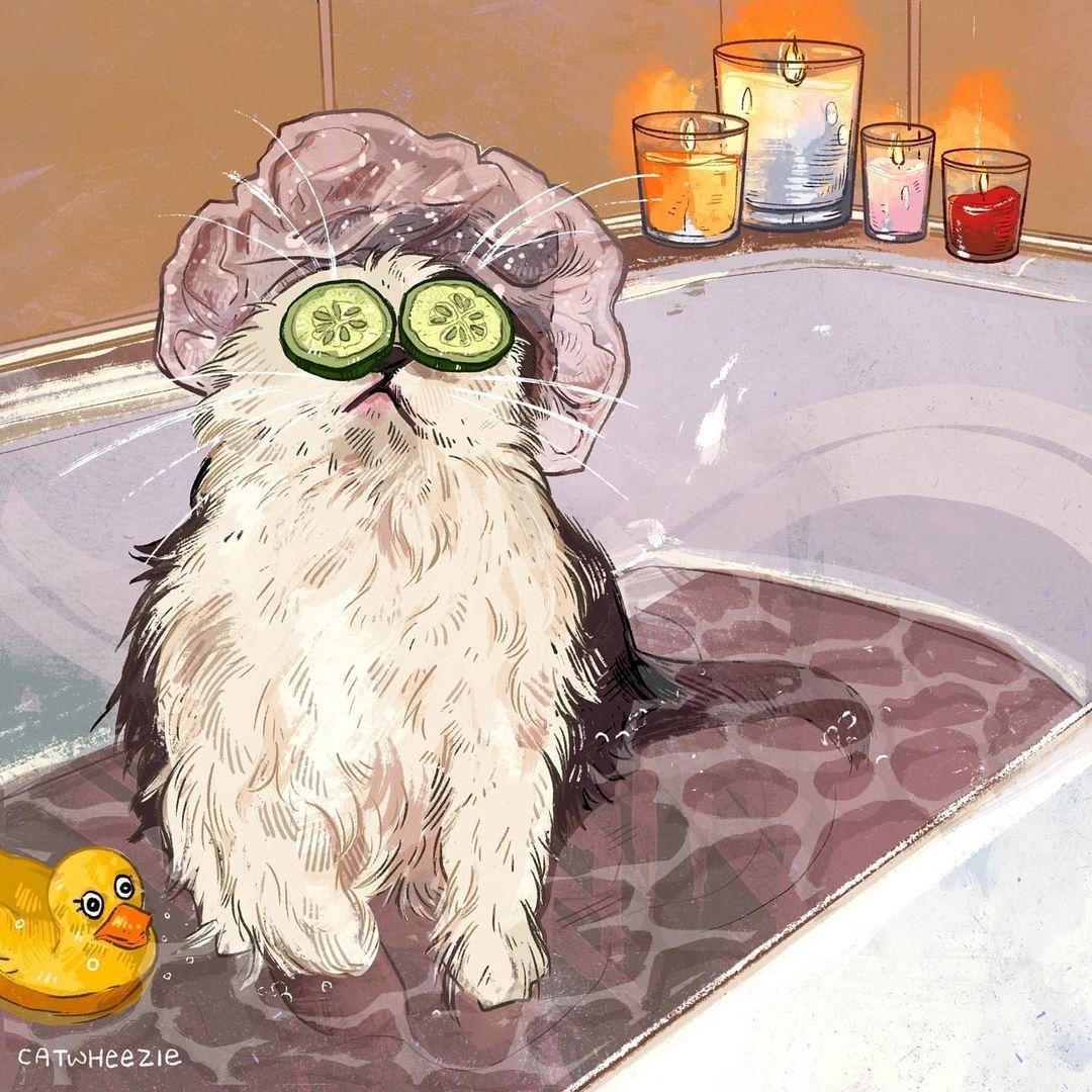 Spa Cat Bathtub