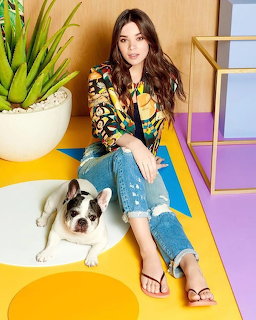 Hailee Steinfeld sitting on a colorful floor next to a French bulldog indoors