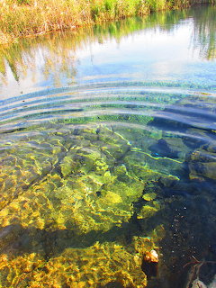 Crystal Clear Lake Water