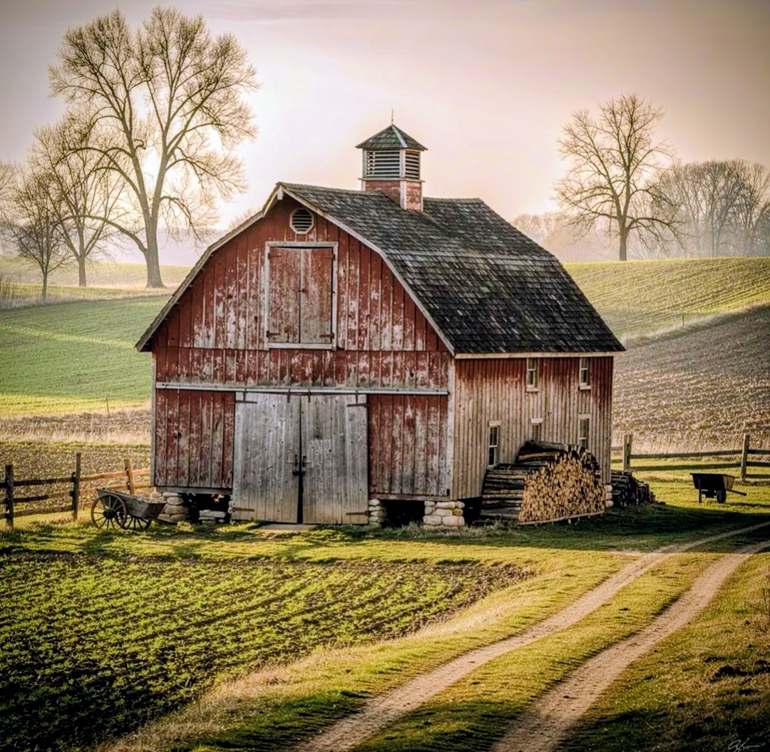 Old red barn on a farm field with a dirt road and leafless trees in soft light