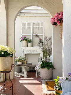 Sunny Patio with Plants