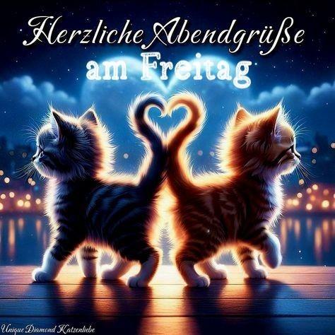 Two kittens facing away from each other, their glowing tails forming a heart shape under a night sky