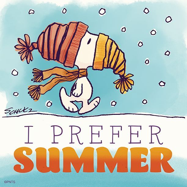 I Prefer Summer Cartoon