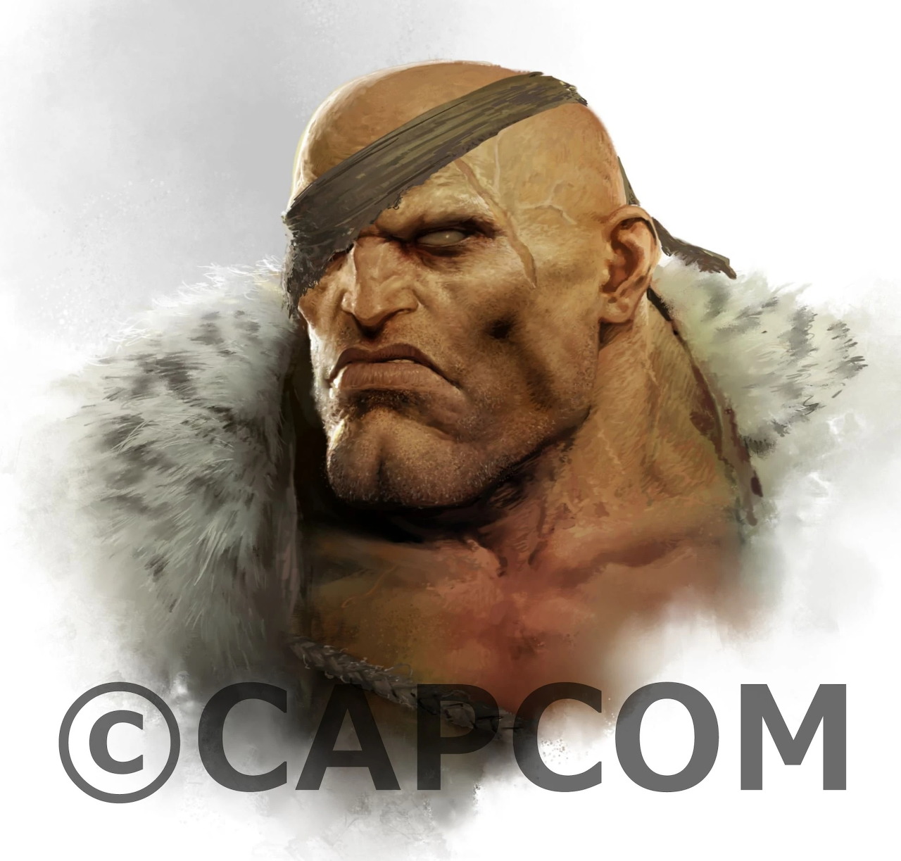 Illustrated bust portrait of Sagat with an eyepatch and fur-trimmed robe