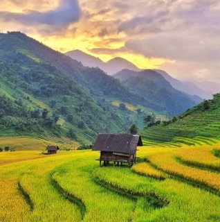 Muong Hoa Valley Vietnam