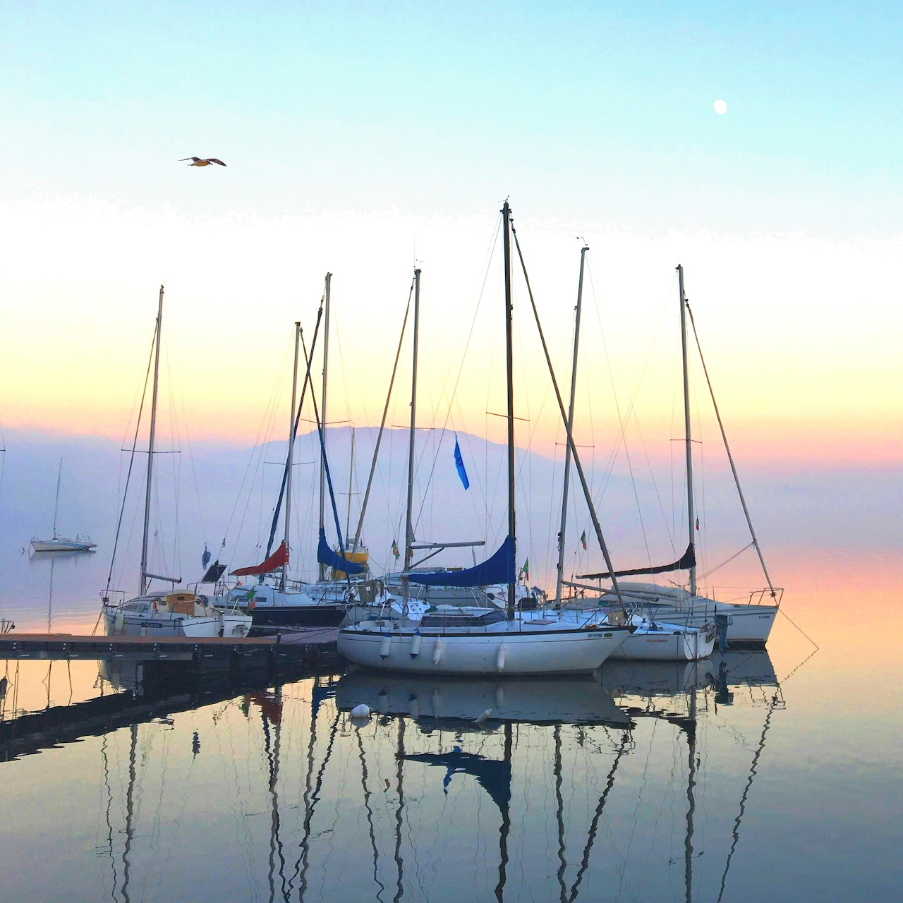 Harbor Sailboats at Sunset