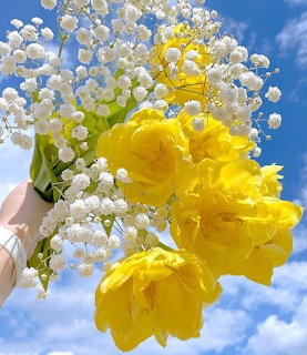 Hand holding a bouquet of yellow tulips and white baby's breath against a blue sky