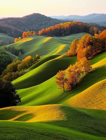 Rolling green hills with orange autumn trees and mountains in background