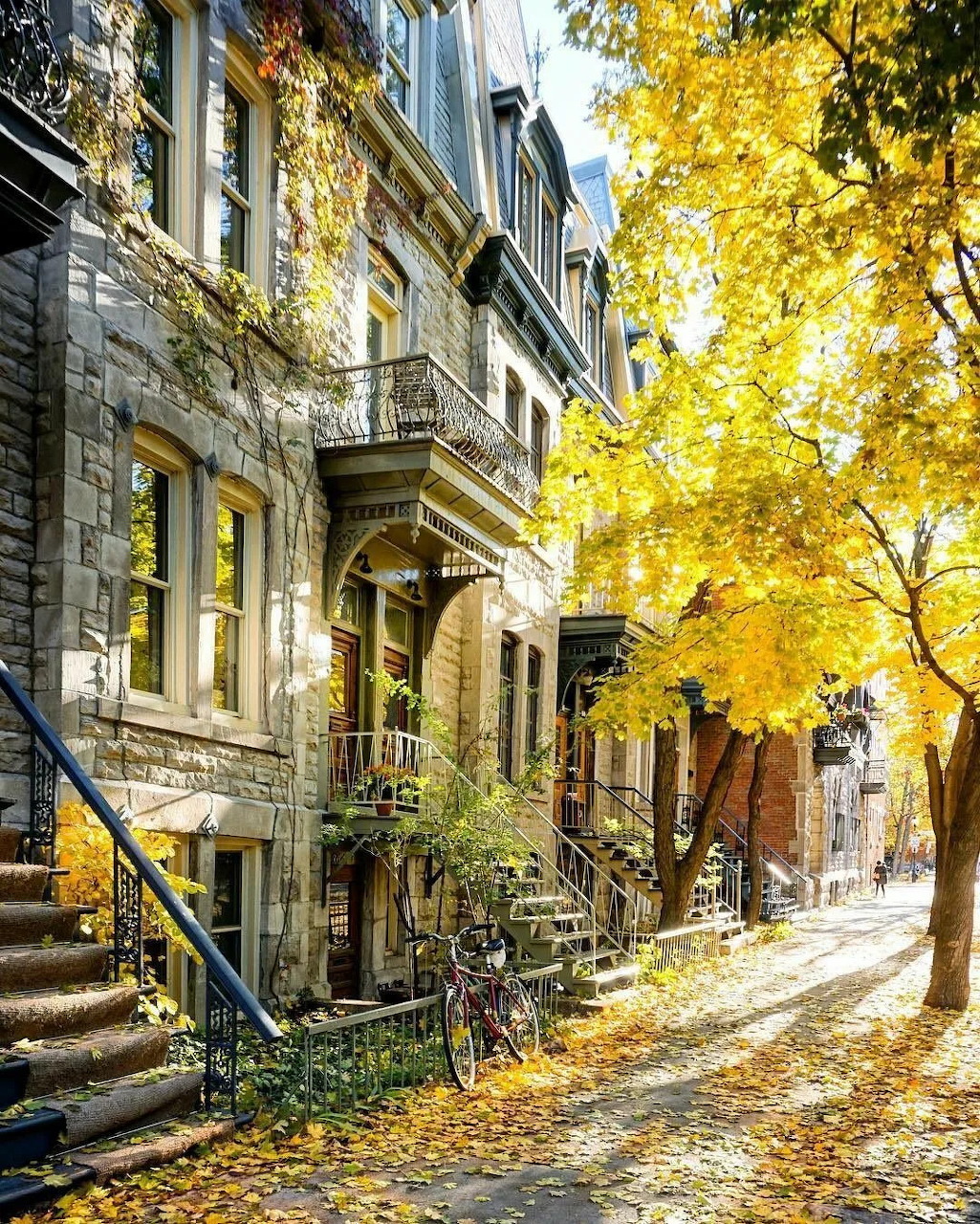 Autumn City Street Houses