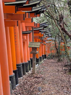 Orange torii gates along a leaf-covered forest path in Kyoto