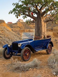 Blue vintage roadster parked in a dry desert landscape under a large tree