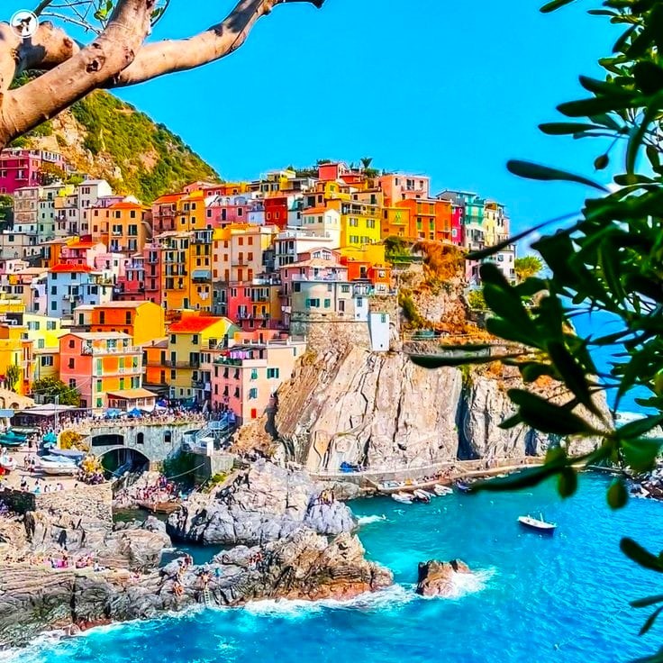 Manarola village with colorful houses on cliffs above turquoise Mediterranean Sea, framed by trees