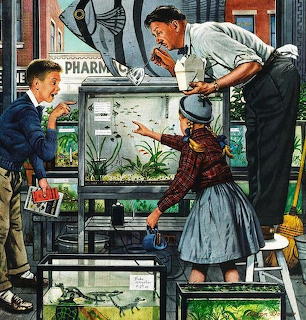 Vintage illustration of three people looking at aquariums in a pet shop