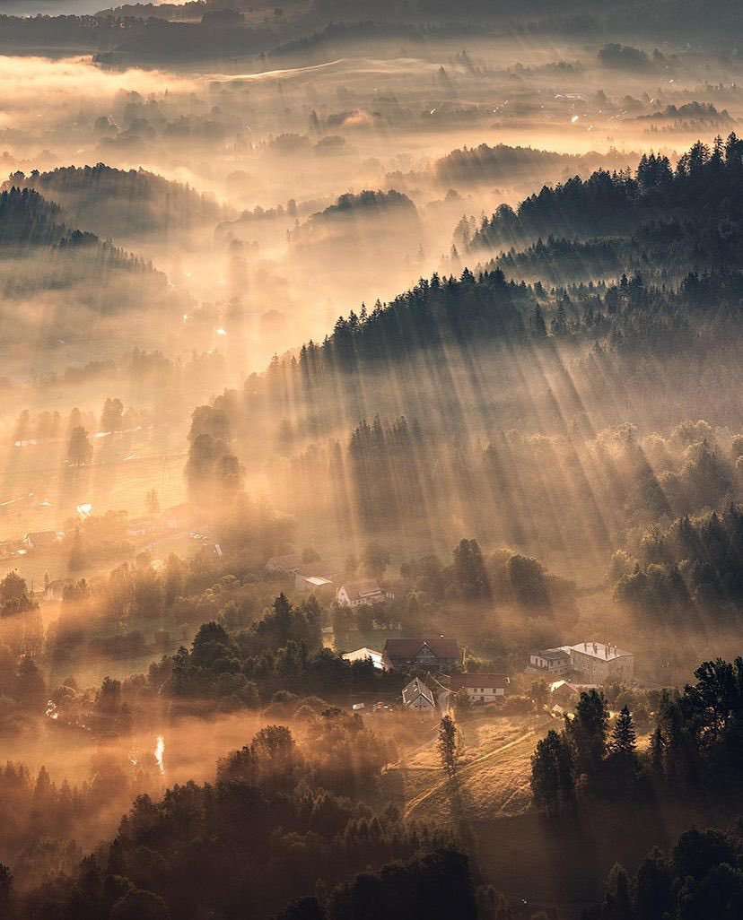 Misty sunrise over forested hills with fog and golden light rays in mountain valley