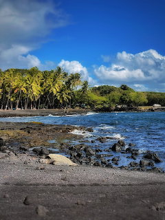 Black sand beach with palm trees, volcanic rocks, and blue ocean under cloudy sky