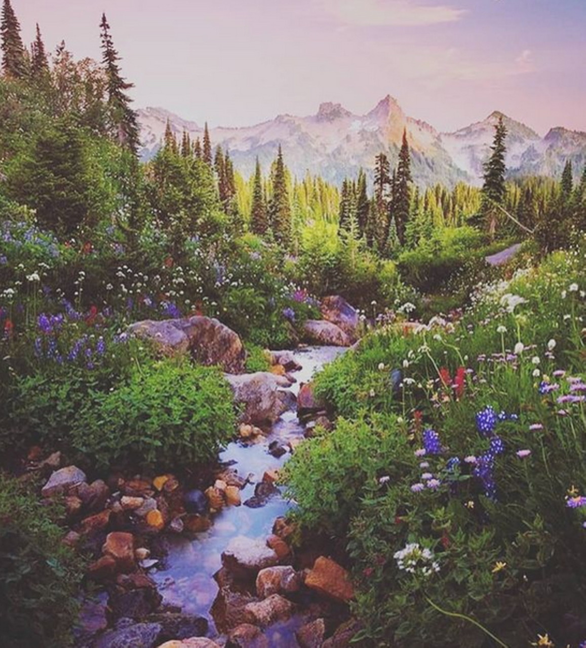 Mountain stream flowing through colorful wildflower meadow with pine trees and snow-capped peaks in background