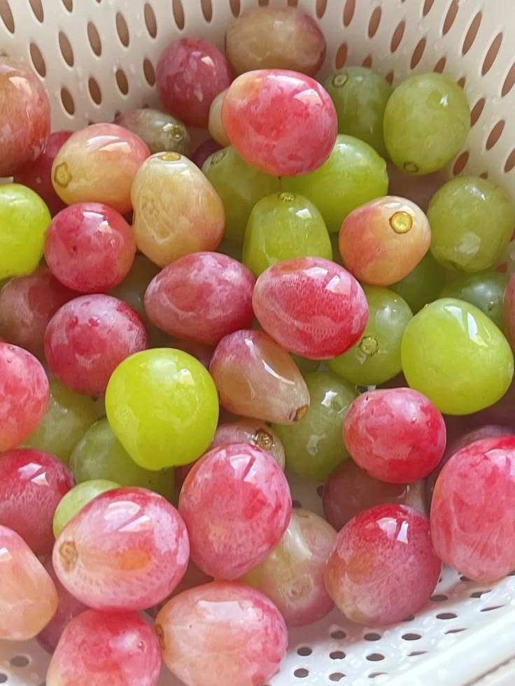Bunch of ripe grapes with green leaves on the vine