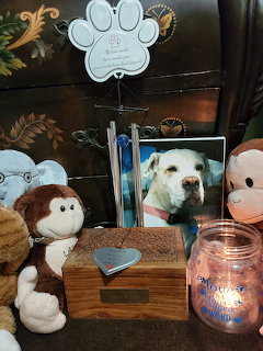 Memorial display with a framed photo of a white dog, candle, keepsake box, and stuffed monkeys indoors