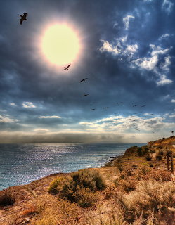 Bright sun over a rocky coast and ocean with birds flying in a cloudy sky
