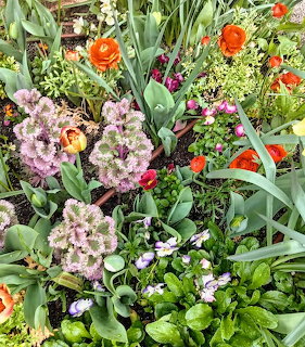 Colorful spring garden with pink hyacinths, orange tulips, purple pansies, and assorted blooms