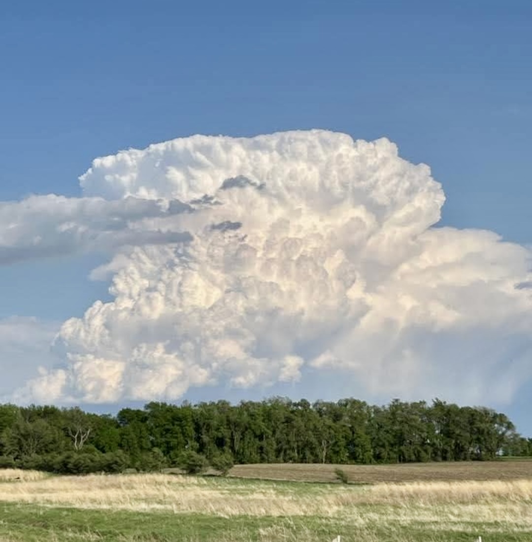 Large white cumulonimbus cloud rising above a flat landscape with trees and fields