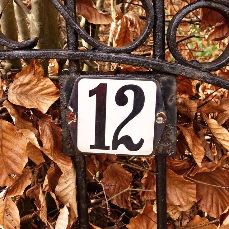 House Number 12