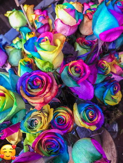 Close-up of rainbow-colored roses with vibrant multi-hued petals in pink, blue, yellow, green and purple