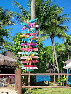 Colorful signpost on a palm tree with tropical foliage and blue sky