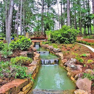 Park Water Garden