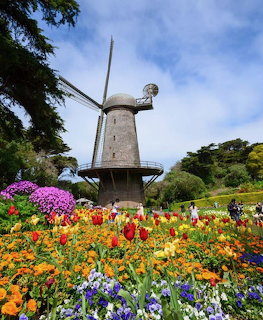Dutch windmill surrounded by colorful tulip gardens with visitors walking among the flowers