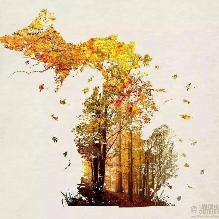 Double exposure art of Michigan state filled with autumn forest and falling leaves on cream background