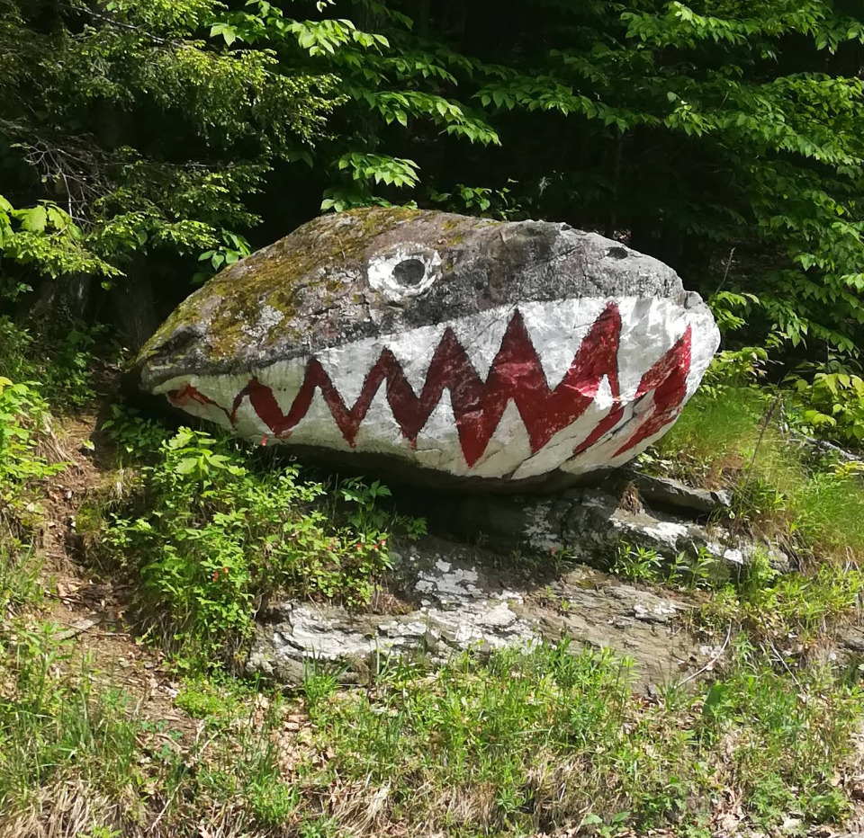 Large rock painted as a shark face in a wooded outdoor area