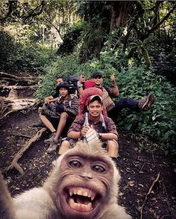 Monkey taking selfie with open mouth and tourists lying on forest path behind