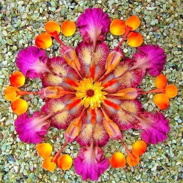 Nature Mandala Flowers