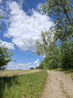 Dirt country path with green fields, trees, and blue cloudy sky