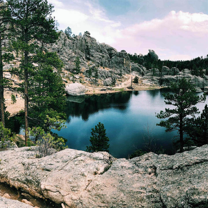 Mountain Lake with Pine Trees