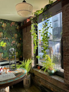 Sunny Cafe Interior