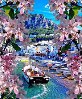 Italian coastal harbor with boats and white buildings framed by pink cherry blossoms against blue sky
