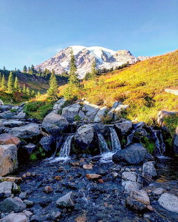 Small waterfall over rocks with Mount Rainier snow-capped summit and alpine meadows in the background