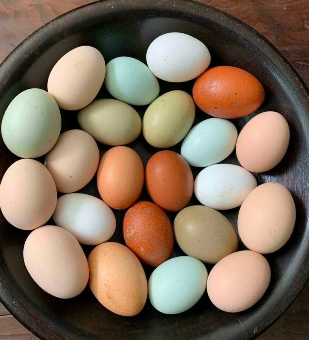 Assorted colorful farm eggs in shades of blue, green, brown, and cream in a dark bowl