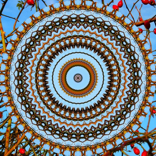Detailed mandala with layered circular patterns, orange and brown tones, flowers and decorative elements on sky blue background