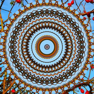 Ornate Mandala with Natural Elements