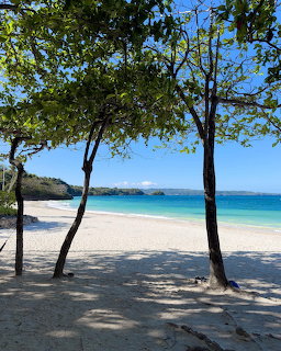Trees casting shade on a white sandy beach with turquoise sea and blue sky
