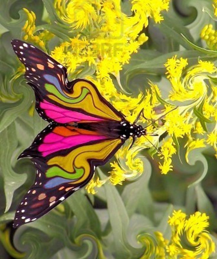 Colorful butterfly with gradient wings in pink and yellow on swirling abstract background