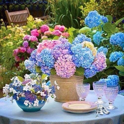 Hydrangeas Garden Table