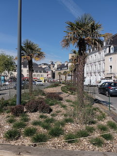 Palm trees and shrubs in a French coastal town square with stone buildings in the background